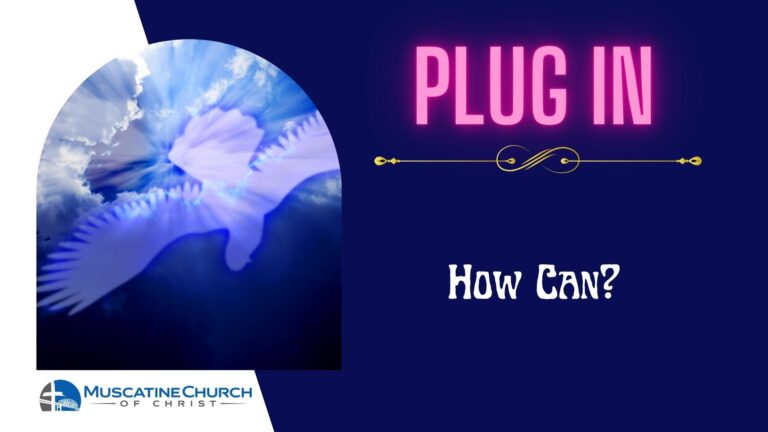 Plug In – How Can?