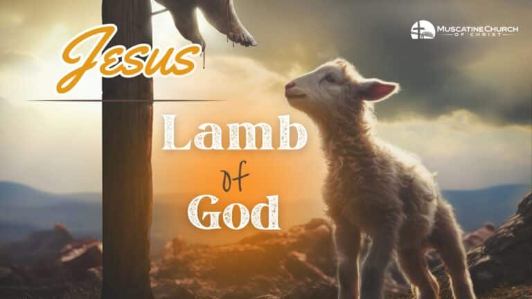 Jesus: Lamb of God