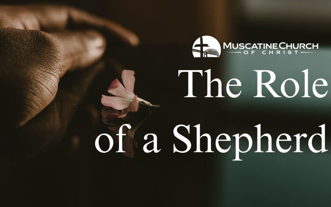 The Role of a Shepherd