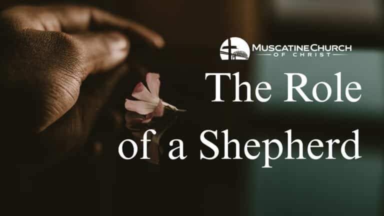 The Role of a Shepherd